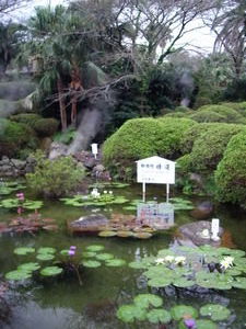 Beautiful pond at Umi Jigoku