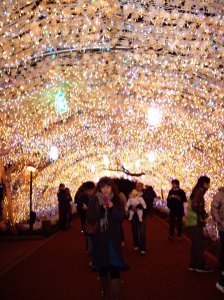 The tunnel of lights were great to see