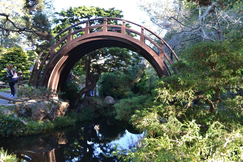 Japanese Arch