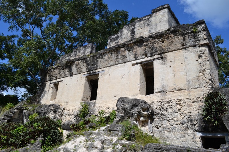 Tikal - Royal palace