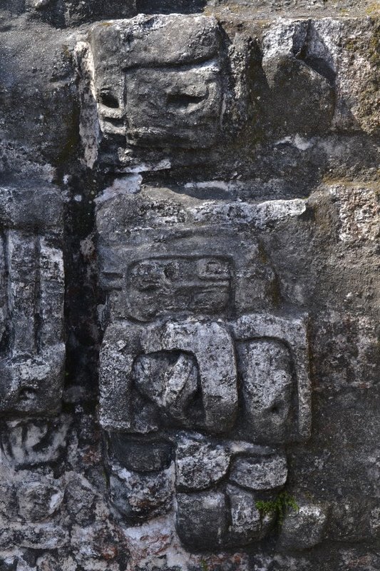 Carvings - Tikal