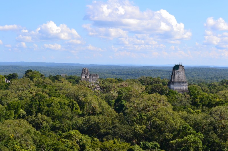 Over the canopy - Tikal