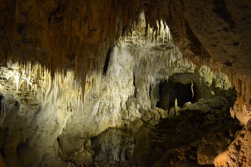 Inside Ruakuri cave