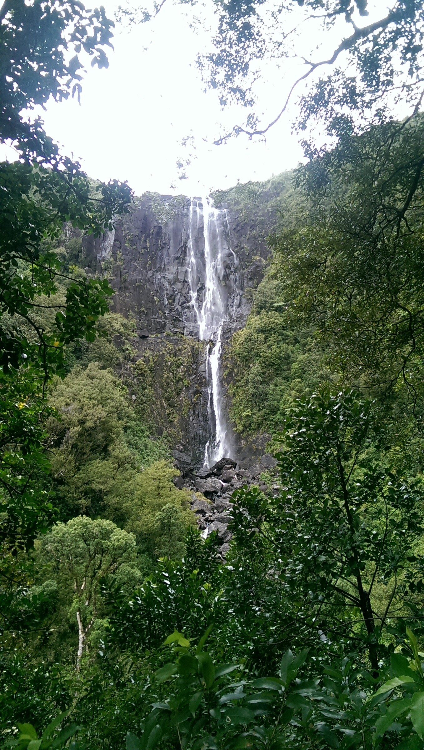 Wairere Falls | Photo