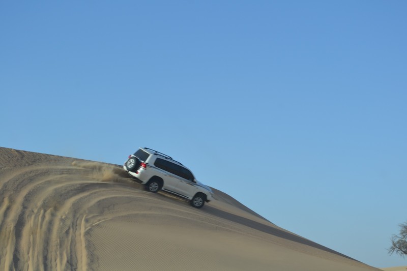 Dune Safari