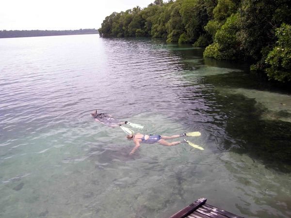 Kakaban Jellyfish lake