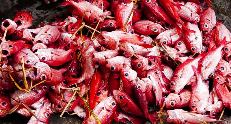 market fish