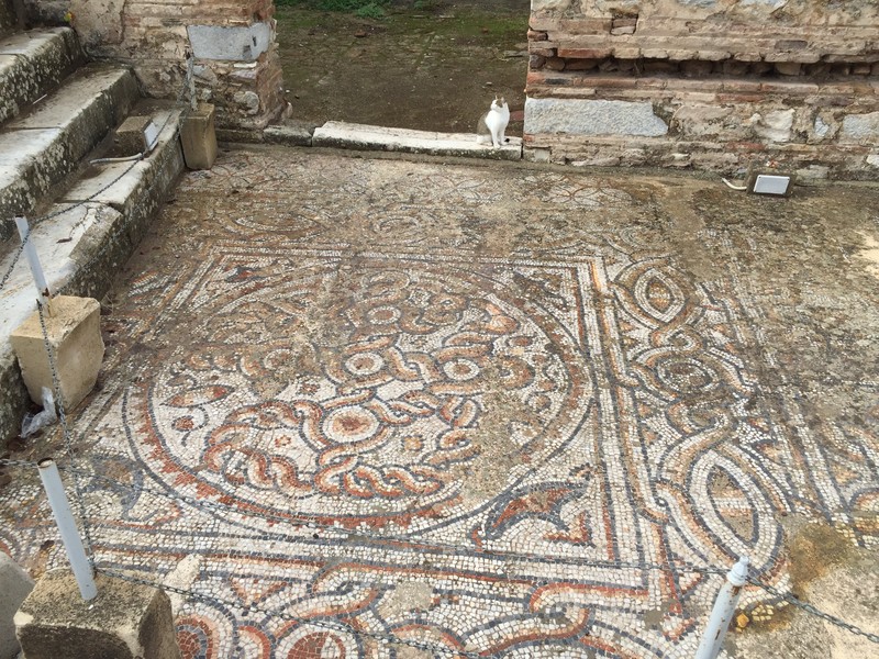 Mosaic floor in Ephesus