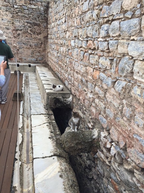 The ancient toilets in Ephesus