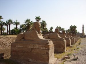 Avenue of Sphinx, Luxor Temple