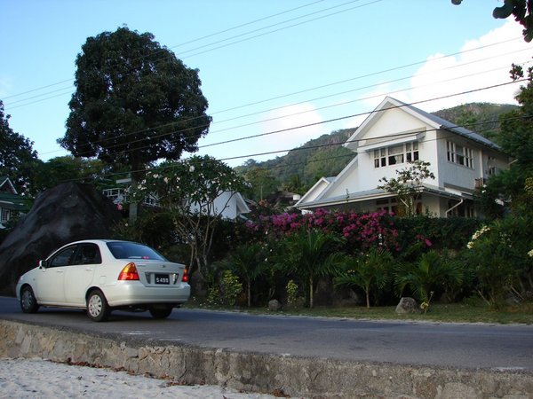 Local houses
