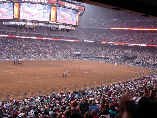 Houston Rodeo (7) Bull Rodeo