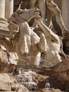 Roma (67) Fontana di Trevi