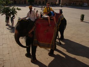 India 2010 (355) Elephant ride