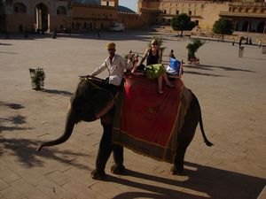 India 2010 (358) Elephant ride