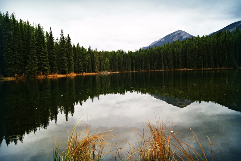 'Banff pond'