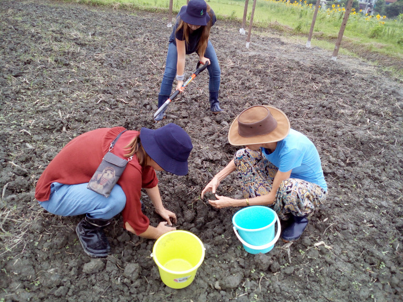 Collecting worms on the farm