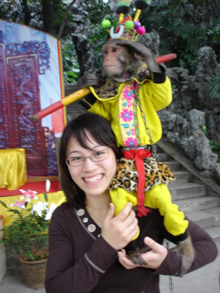 My new friend: monkey mimi