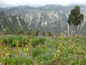 Hill above Chugchilan