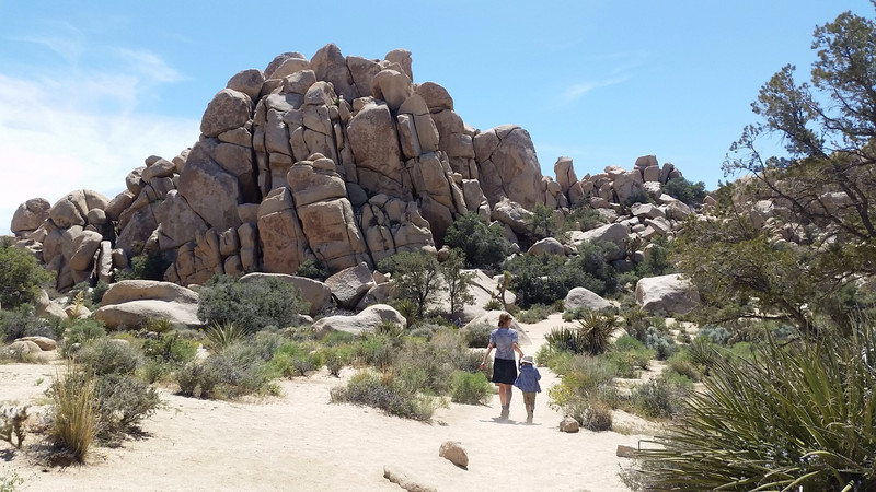 Pottering in the Joshua Tree NP