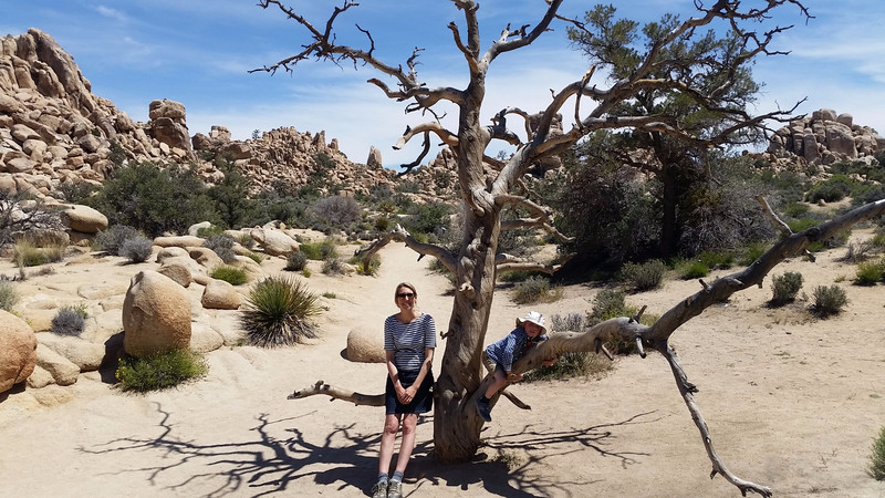 Joshua Tree NP...moments before the famous water incident