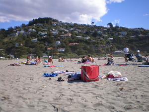 Sumner beach Christchurch