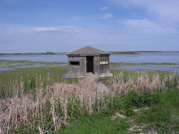 Old shack on the marsh
