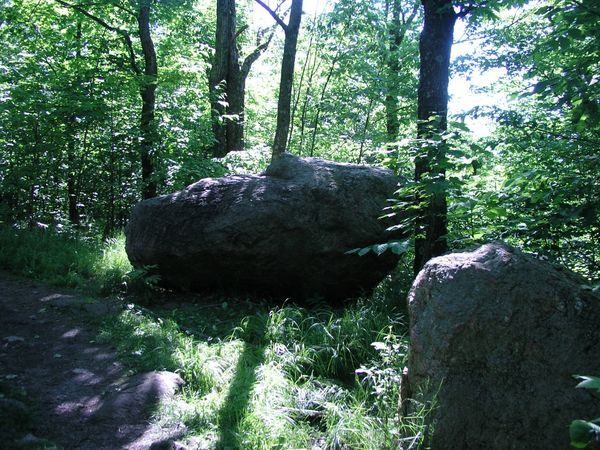 Rocks near the McKenzie King Estate