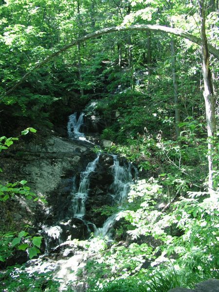 Waterfall on the McKenzie King Estate