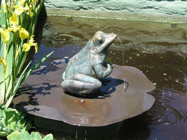 Frog fountain