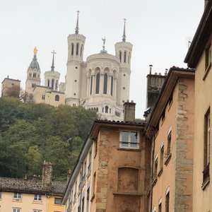 Lyon's Cathedral 