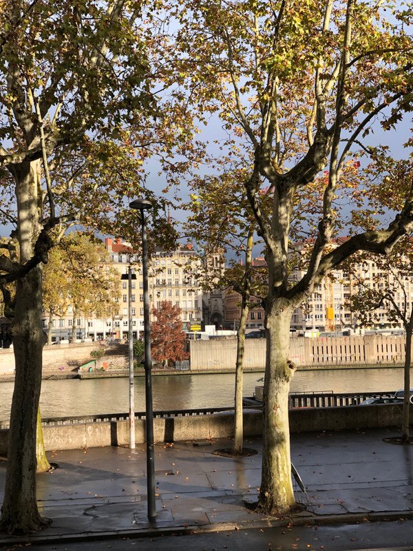 View across the Saone #2 - afternoon
