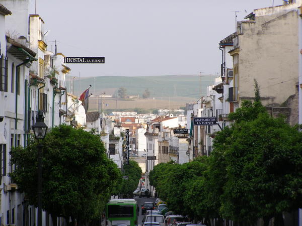 Calle San Fernando