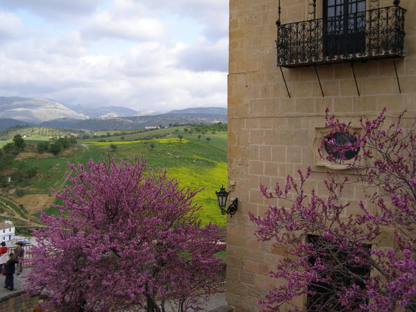 View from Casa del Rey Moro