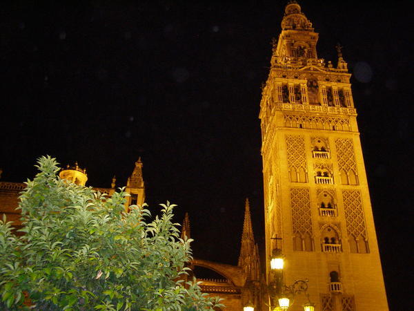 Cathedral of Sevilla at night