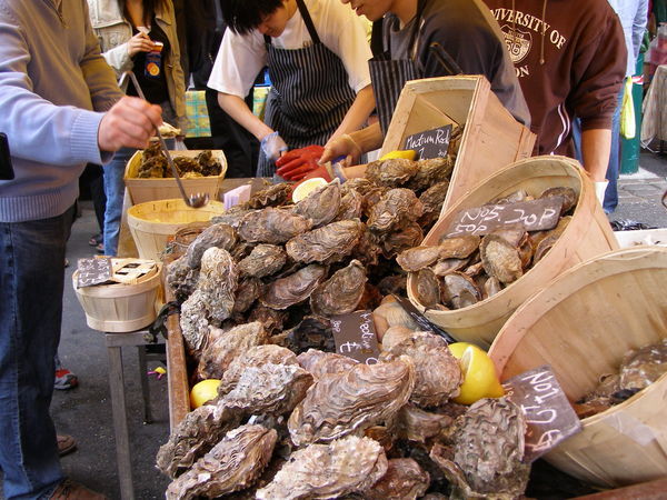 The biggest oysters