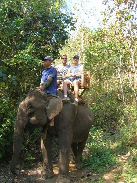 The only way to get around in the jungle
