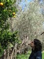 Christina examining her orange tree