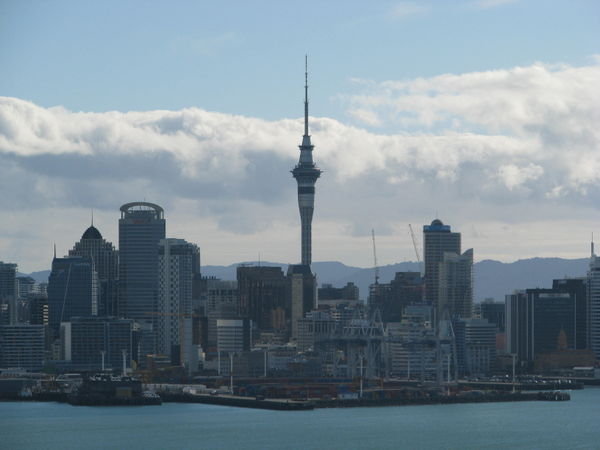Auckland from Davenport
