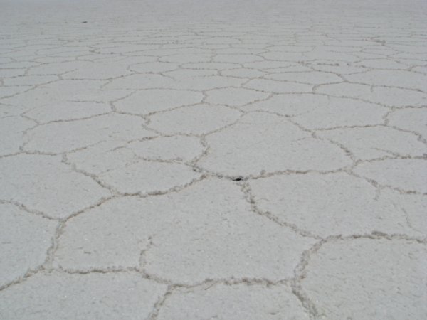 slat desert floor