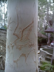 tree engraving