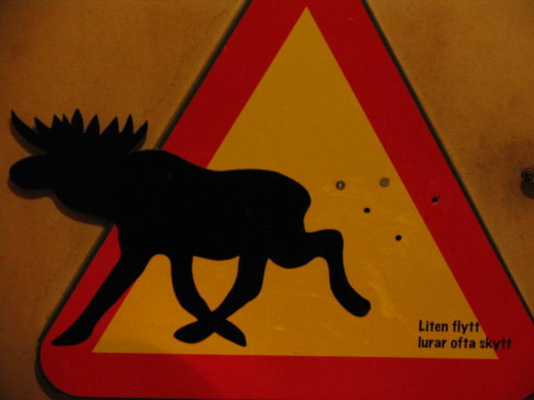 Beware of moose