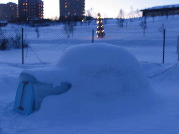 Our igloo in the Lappish morning light
