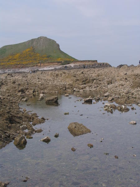 The rocky tidal path out to the end of the Worm's Head