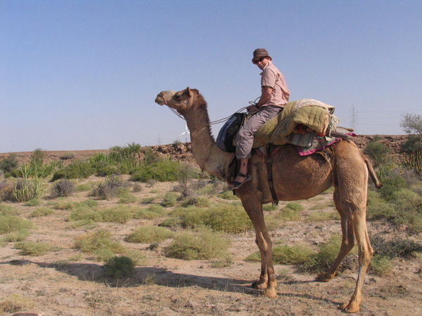 Cecilia ... named after the song 'Cecilia you're breaking my heart' which our guide sang constantly to the poor camel