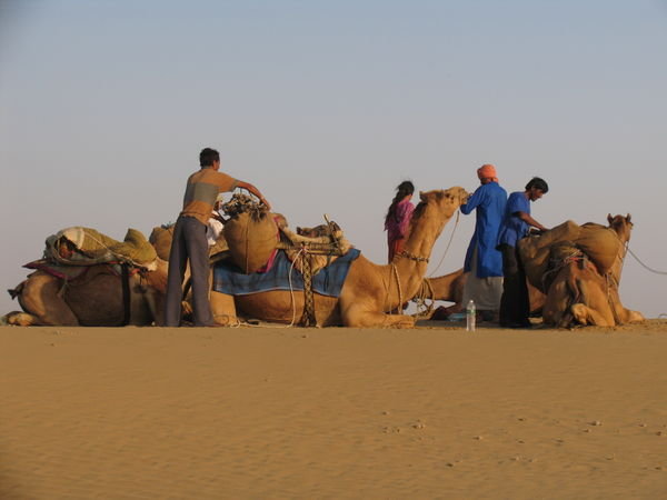 Unloading the camels to set up our camp in the dunes