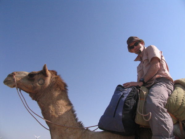 It's a long way up on the back of a camel