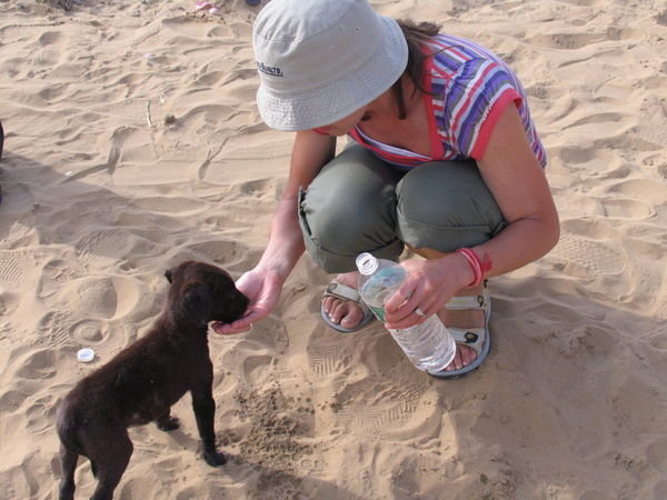 This gorgeous tiny puppy appeared out of nowhere and was swamped by the enormous dunes. The poor little thing was hungry and dying of thirst and lapped up the water I offered him.