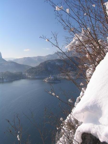 The much photographed island in the middle of Lake Bled