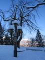 Snow covered lamps add to the ambience of this winter wonderland
